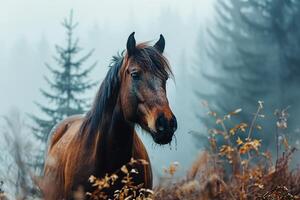 A brown horse is standing in a field of tall grass in foggy day photo