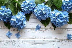 blue hydrangeas flowers border frame on white painted wooden background top view, beautiful floral template with copy space photo