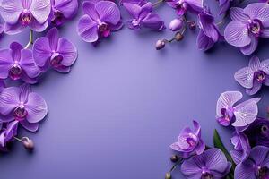 template of violet orchids flowers frame on purple background top view, beautiful floral composition with copy space photo