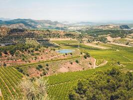 beautiful landscape view of orange fields in the valley between the hills photo