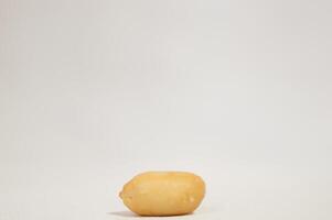 A Single Peanut in the Shell photo
