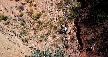 Man Walking Alone In The Middle Of The Desert video