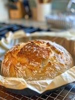 Freshly baked bread, its crust golden and inviting, rises with wheat and yeast, ready to envelop tender meat and creamy dairy fillings photo