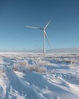 Windmill blades turning slowly in a vast meadow on the edge of a snowy tundra, crisp morning, high detail, eye-level shot photo