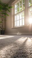 Clean carpet in an unoccupied room, breeze entering through windows, bright daylight, side view photo