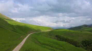 Journey down Scenic Green Valley Road, winding through rolling hills, surrounded by greenery video