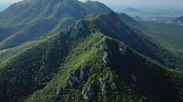 Admire the breathtaking scenery of a scenic mountain range with forested peaks from an aerial view video