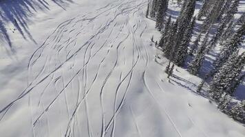 Experience thrilling helicopter skiing in pristine powder snow for an adventurous alpine journey video