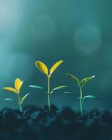 For many startups, venture growth can quickly pivot to decline, ushering in periods of significant loss photo