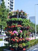 An urban agriculture conference where startup leaders discuss the impact of vertical farming on city food systems photo