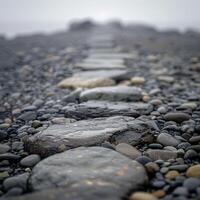 Mixed monotone pebbles fill the narrow path, each step a crunch in a world of grey photo