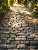 The soft glow of dim sunlight filters through, casting cool shadows on an old cobblestone path photo