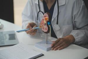 Female doctor explaining to patient results of model the process of patients. Diagnosis of diseases for Model Internal organ. photo