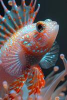 Close-Up of a Vibrant Fish in Coral Reef photo