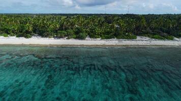 Maldives island tropical coastline beach with palms trees and ocean. Drone view video
