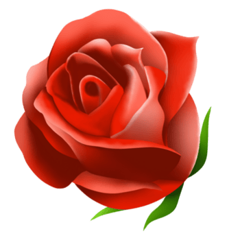 a vermelho rosa imagem para amor ou Casamento conceito. png