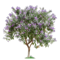 Chilopsis Linearis Isolated on Transparent Background png