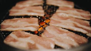 set of various raw meat grill on stove in korean barbecue style video