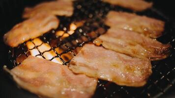 set of various raw meat grill on stove in korean barbecue style video