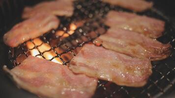 set of various raw meat grill on stove in korean barbecue style video