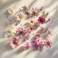 top shot flatlay flowers on white background with shadows, ai photo