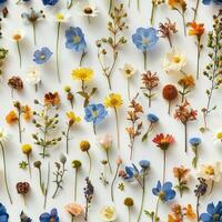 pressed flower colorful pattern texture wallpaper on white background, ai photo