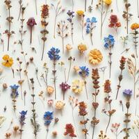 pressed flower colorful pattern texture wallpaper on white background, ai photo