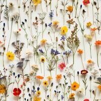 pressed flower colorful pattern texture wallpaper on white background, ai photo