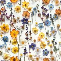 pressed flower colorful pattern texture wallpaper on white background, ai photo