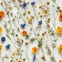 pressed flower colorful pattern texture wallpaper on white background, ai photo