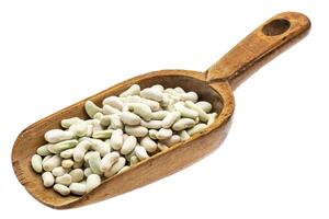 rustic scoop of flageolet beans photo