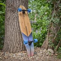 cruising longboard against tree photo