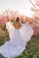 Woman blooming peach orchard. Against the backdrop of a picturesque peach orchard, a woman in a long white dress and hat enjoys a peaceful walk in the park, surrounded by the beauty of nature. photo