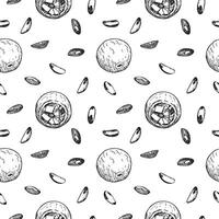 Macadamia nut hand drawn seamless pattern with fruit, branch, plant, leaves. Illustration with nuts, repeating background for print, textile, wrapping, packing. Organic food ingredient cosmetic vector