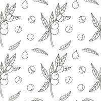 Macadamia nut hand drawn seamless pattern with fruit, branch, plant, leaves. Illustration with nuts, repeating background for print, textile, wrapping, packing, label. Organic food ingredient cosmetic vector