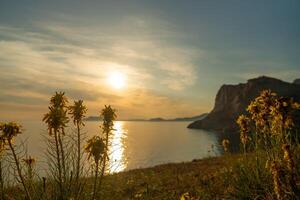A beautiful sunset over the ocean with a field of yellow flowers in the foreground. The sky is filled with clouds and the sun is setting, creating a serene and peaceful atmosphere. photo