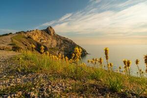 A rocky hillside with a view of the ocean and a field of yellow flowers. The scene is serene and peaceful, with the sun shining brightly on the flowers and the water. photo