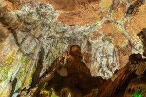 The inside of a cave is covered in moss and has a greenish tint. The walls are made of stone and the ceiling is made of rock. The cave is dark and damp, with a musty smell. photo