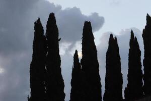 Rain clouds cover the sky in northern Israel. photo