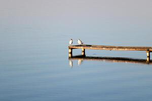Lake Naroch is the largest lake in Belaru photo
