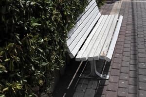 A bench for relaxing in a city park on the seashore. photo