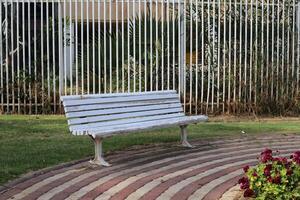 A bench for relaxing in a city park on the seashore. photo