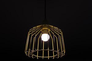 A lamp for illuminating the interior of the room hangs on the ceiling. photo