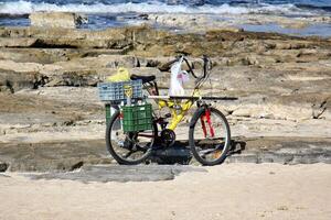 A bicycle is a two-wheeled vehicle without a motor. photo