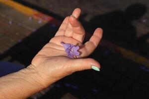 A person's hand holds objects close-up. photo