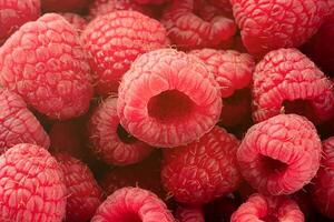 background of fresh and appetizing raspberries. raspberry berries close-up background photo