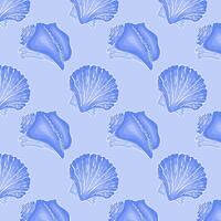 Marine pattern in blue. Ocean and sea design background with hand drawn seashells. vector