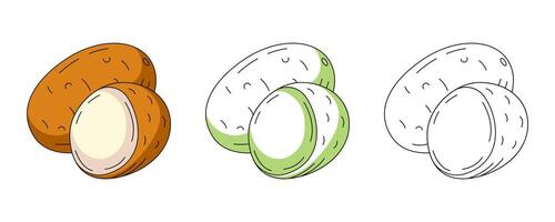 Whole and half potatoes, colorful and line icons set. Farm vegetable outline icon, monochrome, color illustration. Healthy nutrition, organic food, vegetarian product. For logo, coloring book vector