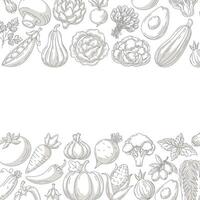 Fresh and healthy farm vegetables, minimalist square poster, veggies monochrome icons border frame. Space for text, isolated background. Organic product. For poster, menu, cover, social media vector