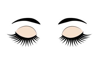 Closed eyes with long eyelashes and eyebrows. Eye flat icon isolated on white. vector